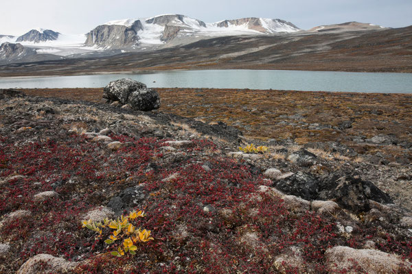 Qororssuaq, Nussuaq