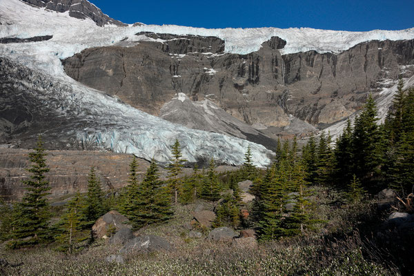 South East Lyell-Glacier