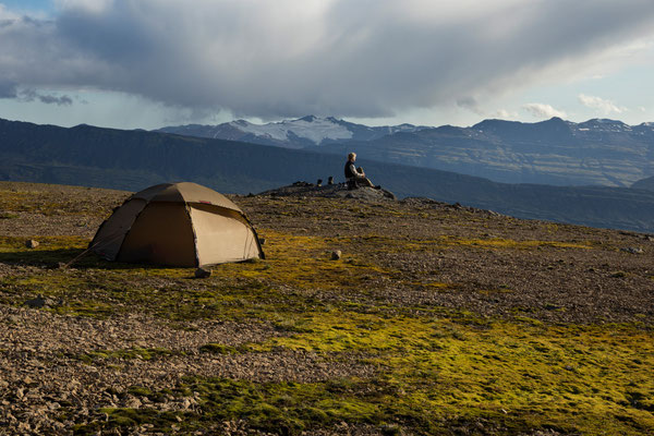 Lambatungur, Island