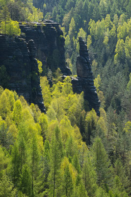 Turm der Felsenbrüder, Bielatal