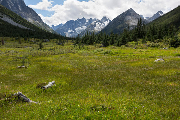 Twist Creek North Fork, Waddington Range