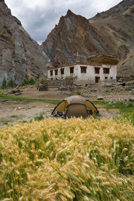 Zingchan, Zanskar, Indien