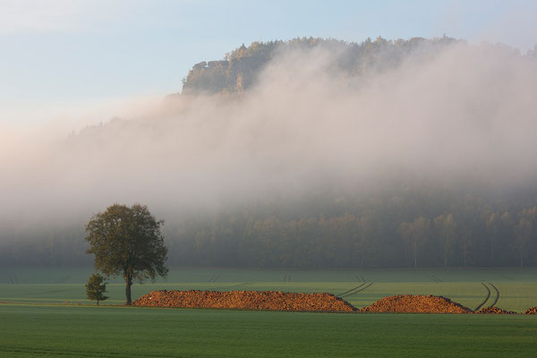 Lilienstein