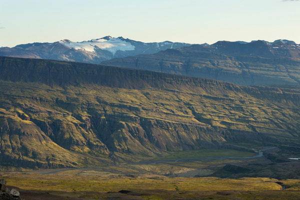 Lambatungur, Lambatungusker