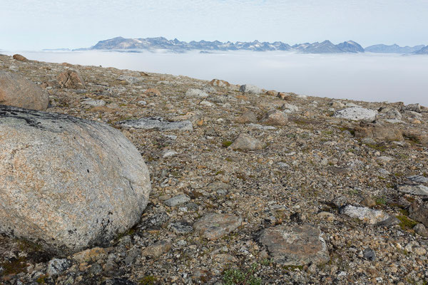 Nebel über dem Tasermiutfjord