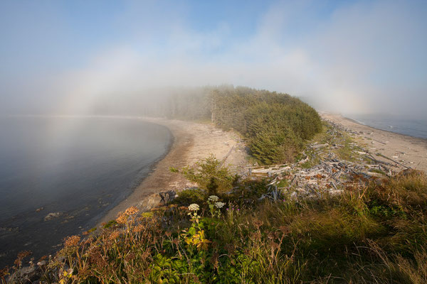 Sand Point, Olympic Coast 