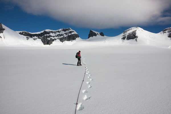 Lyell-Icefield, Rocky Mountains, Kanada