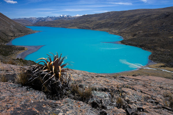 Singrenacocha, Vilcanota, Peru