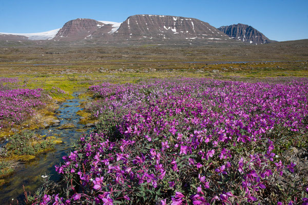 Kangikerlaap Itinnera - Brededal