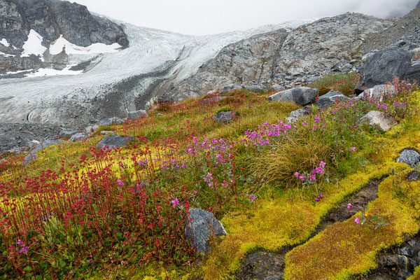 Septentrion Valley, Pegasus Icefield