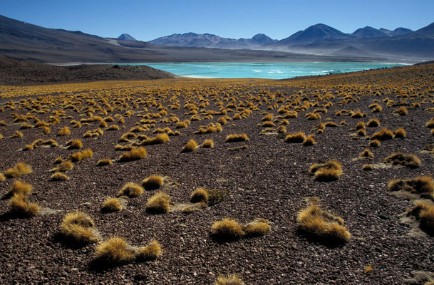 Laguna Verde, Bolivien