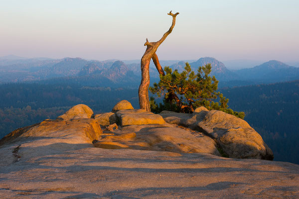 Häntzschelstiege, sächsische Schweiz