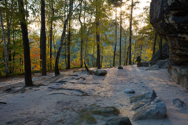 Unterer Terassenweg mit Rauschenstein