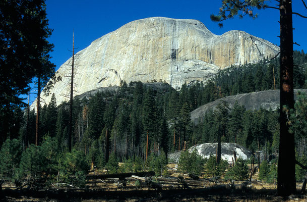 Half Dome from Merced River Valley