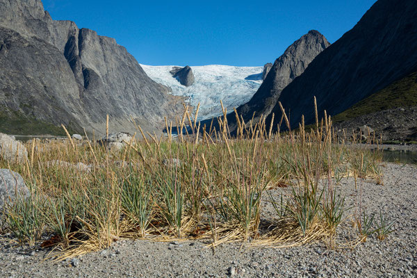 Tasermiutfjord und Sermeq, Grönland