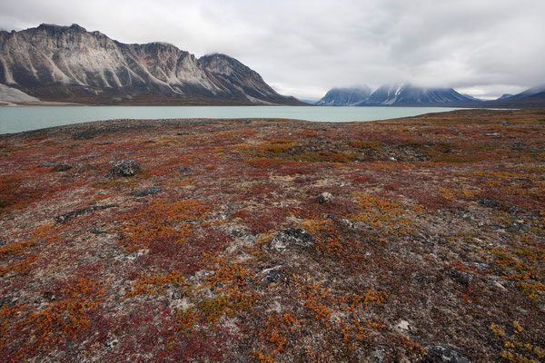 Sarqap Taserssua, Nussuaq