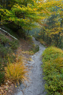 Schrammsteinweg