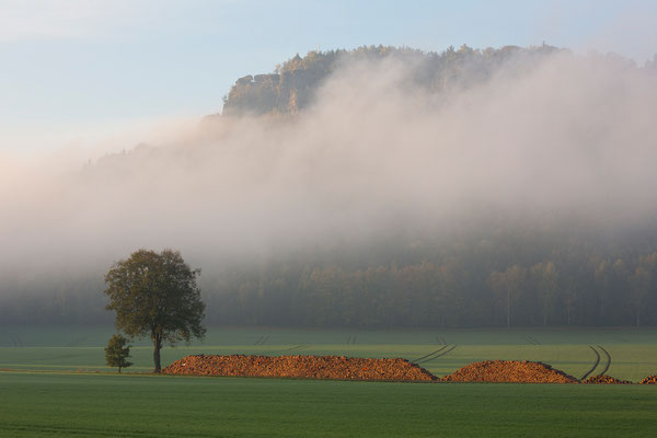 Lilienstein, sächsische Schweiz
