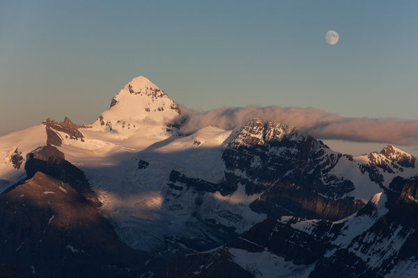 Mount Forbes from Lyell-Icefield