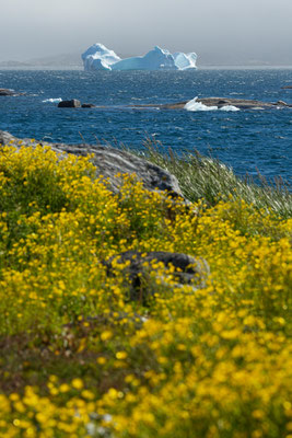 Nanortalik, Grönland