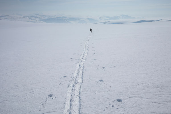 Der lange Marsch über den Jostedalsbreen...