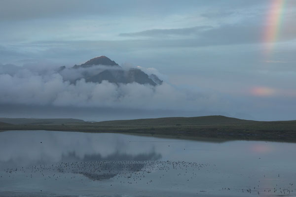 Höfn