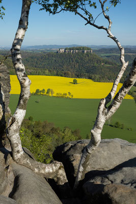 Königstein vom Pfaffenstein