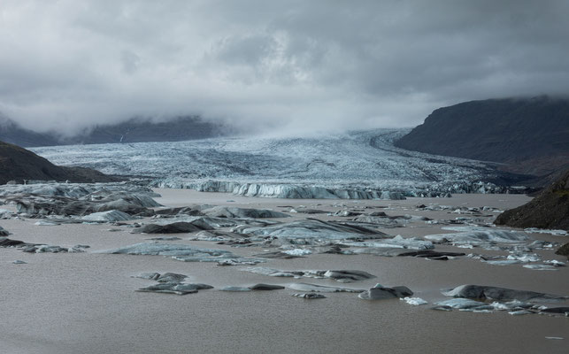 Hoffellsjökull