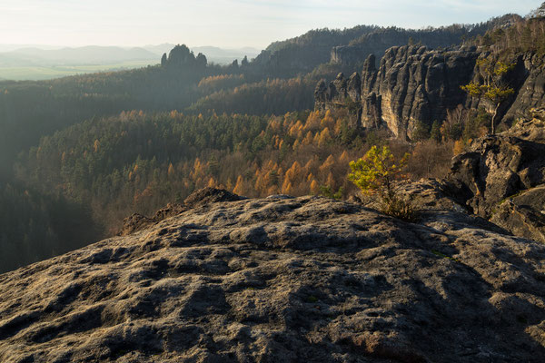 Heringsgrund und Rauschenwand vom Lehnsteig