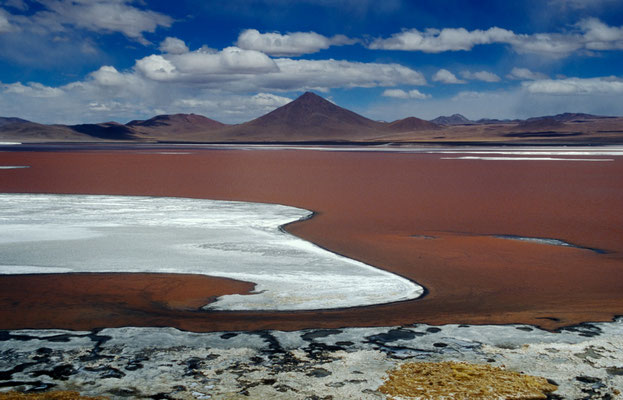 Laguna Colorada, Bolivien