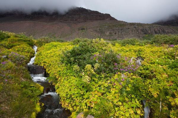 Qunnersuaq mit Lyngmarksfjeld, Disko