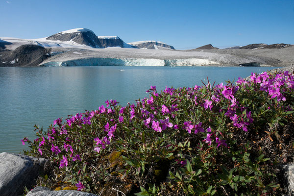 unkartographierter Gletschersee auf Nussuaq, Grönland