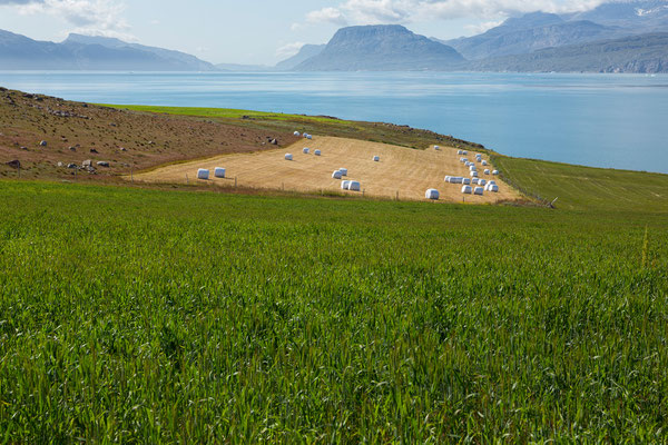 Uummannarttsiivaraq am Eriks Fjord (Tunulliarfik)