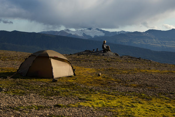 Lambatungur