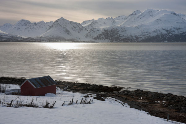 Lyngenfjord und Lyngenalpane, Troms, Norwegen