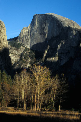 Half Dome and Yosemite Valley 