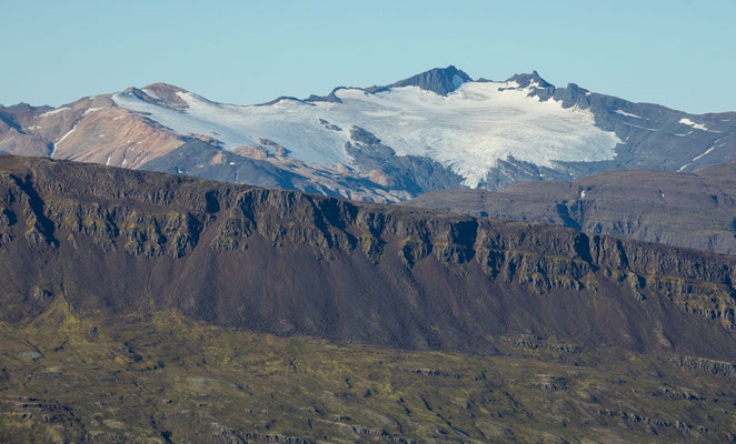 Lambatungur