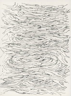 2012年5月1日c, 紙にインク/ink on paper, 250x172mm, 2012/05/01c