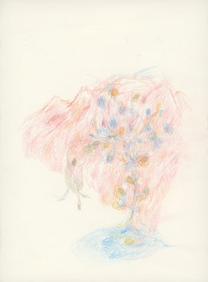 2023年1月10日, 紙に色鉛筆, colored pencil on paper, 266x196mm, 2022/01/10