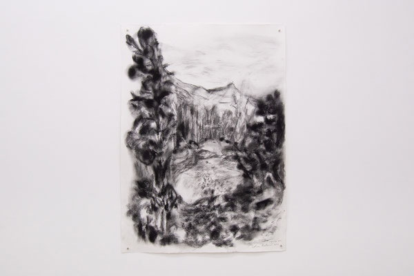 ノワール01, 紙にパステル、木炭/Noir-01, paste and charcoal on paper, 780x570mm. 2021
