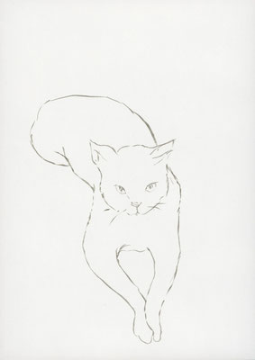 2013年10月22日, 紙にインク/ ink on paper, 250x172mm, 2013/10/22