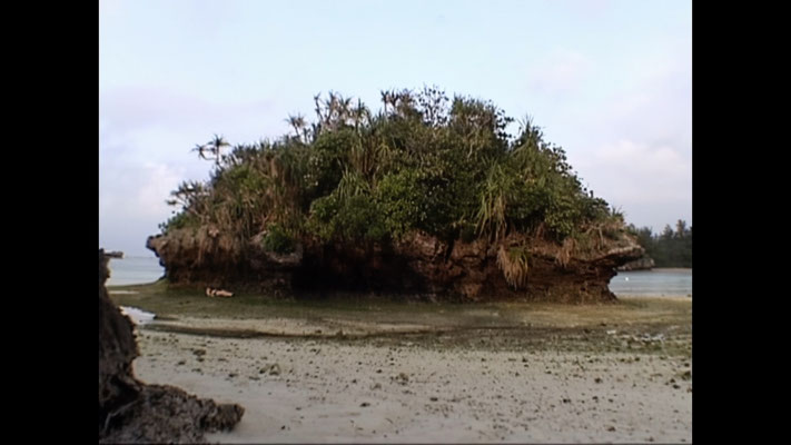 KOJIMA, 2002, Single-channel video(color, sound) Variable time (loop)