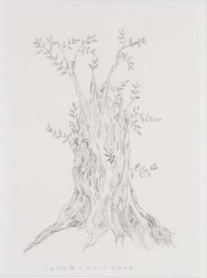 「ある物語に出てくる目印の木」　”A landmark tree in a story”, pencil on paper, 378X283mm, 2008
