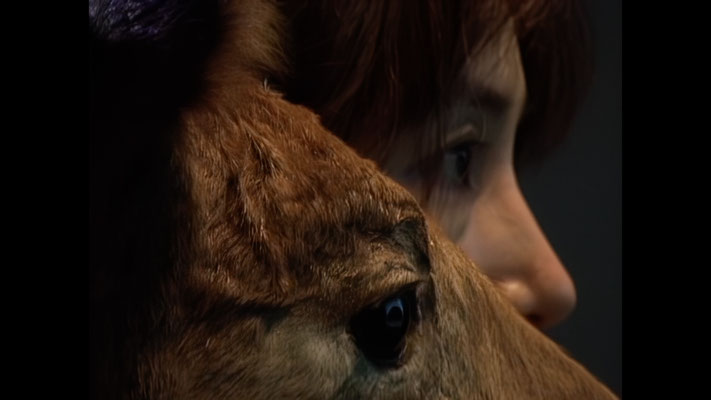 Koso-Doro, 2003, Single-channel video(color, sound) 13'31''