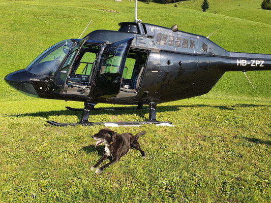 Elite Flights, Bell 206 Jet Ranger, HB-ZPZ, Luzern-Beromünster, Burezvieriflug, Helikopterflug, Schwanden NW