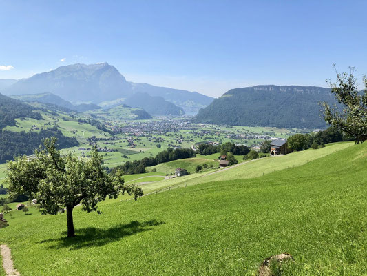 Elite Flights, Burezvieriflug Schwanden NW