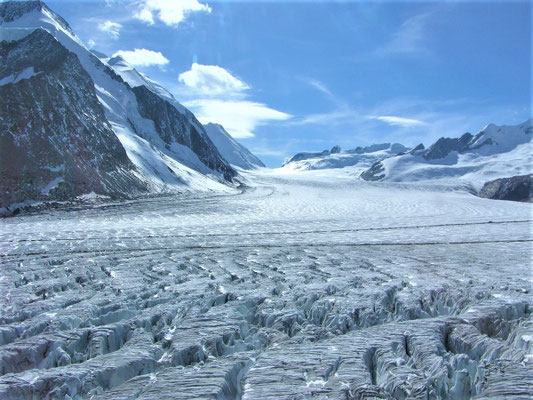 Alpenrundflug mit Gletscherlandung, Alpenflug, Helikopterflug,  Gletscherflug, Aletschgletscher, Konkordiaplatz, Lötschenlücke