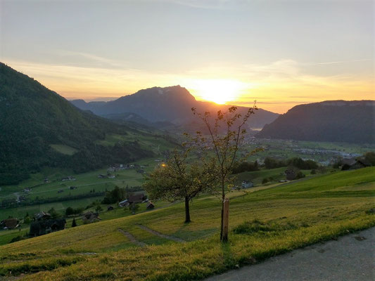 Elite Flights, Burezvieriflug, Schwanden NW