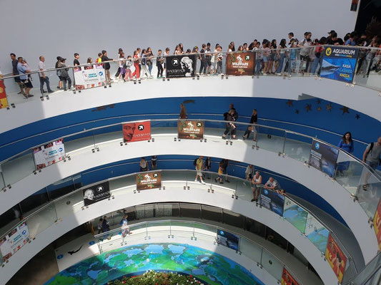 Antalya Aquarium Tour – Transfer & Admission | Belek Tours