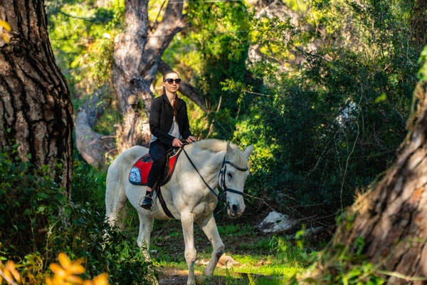 Horse Riding Side